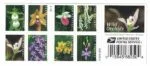 wild orchids stamps
