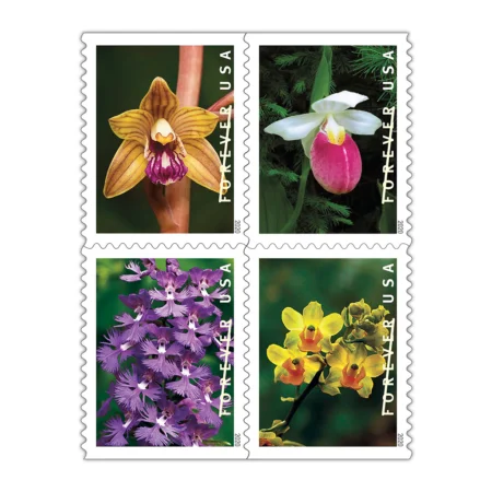 buy wild orchids Forever stamps for sale cheap in bulk