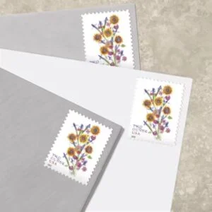 cheap stamps bulk usps discount stamps Two Ounce Stamp Value