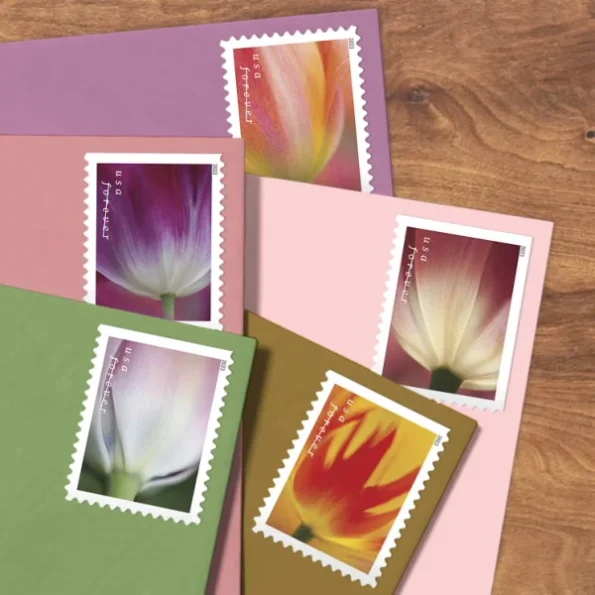 Tulip-Blossoms-2023-Cheap-postage-forever-Stamps-3