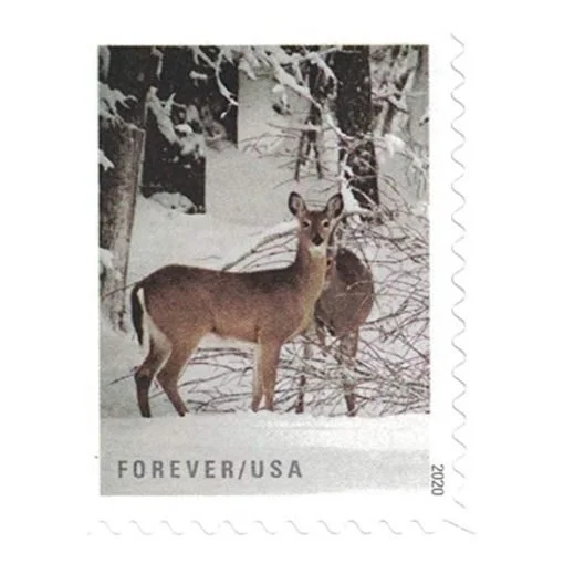 Winter-Scenes_Stamps_cheap_forever_stamps_in_bulk_sale_2