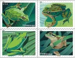 frogs-forever-stamps-for-sale-discount-postage-cheap-in-bulk
