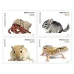 pets-cheap-forever-stamps-in-bulk-on-sale-2