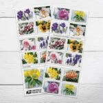 Snowy-Beauty Stamps-2022-cheap-forever-1