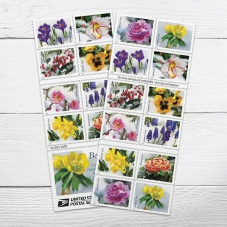 sheet of discount USPS Snowy-Beauty flower postage cheap forever stamps in bulk for sale