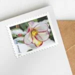 Snowy-Beauty Stamps-2022-cheap-forever-1