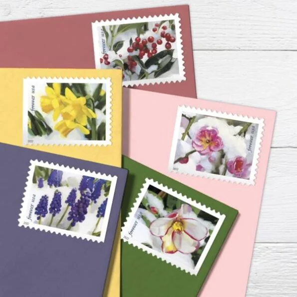 Snowy-Beauty Stamps-2022-cheap-forever-4