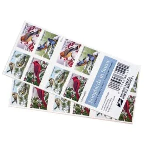buy discount usps songbirds in snow stamps bulk cheap forever stamps for sale