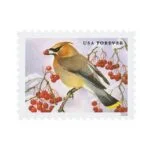 buy discount songbirds in snow postage stamp cheap forever stamps in bulk for sale