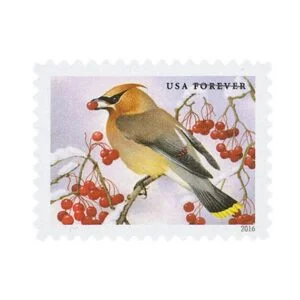 buy discount usps song birds postage stamp cheap forever stamps in bulk for sale