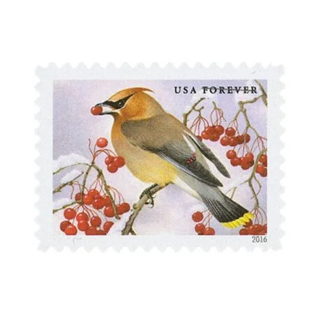 buy discount songbirds in snow postage stamp cheap forever stamps in bulk for sale