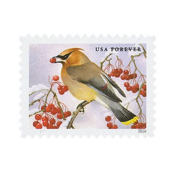 Songbirds-in-Snow-Forever-Stamps
