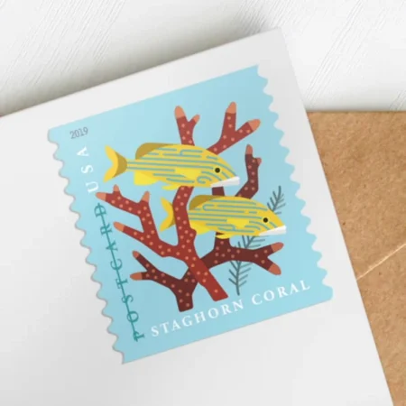 uy discount usps Coral reefs postcard stamp cheap forever stamps in bulk for sale