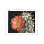cheap-cactus-flowers-stamps-USPS-Forever-Postage-1