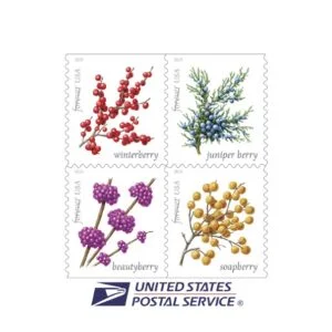 discount USPS winter berries postage cheap forever stamps in bulk for sale