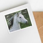 USPS Horses Stamps animal stamps cheap in bulk for sale