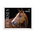 USPS Horses Stamps animal stamps cheap in bulk for sale