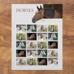 USPS Horses Stamps animal stamps cheap in bulk for sale