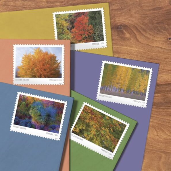 Autumn Colors Stamps