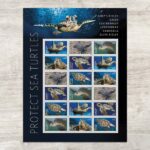 Protect Sea Turtles Stamps