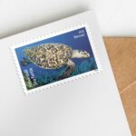 Protect Sea Turtles Stamps