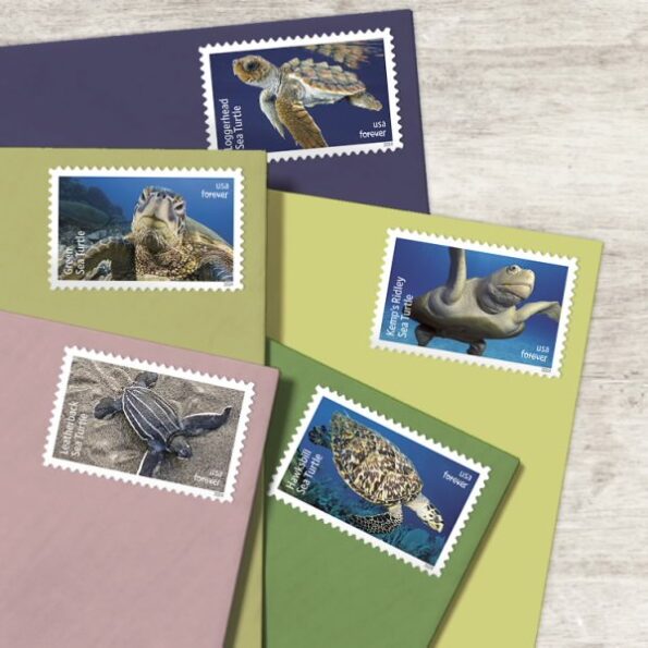 Protect Sea Turtles Stamps