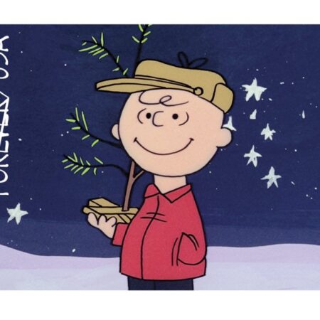 Buy Discount USPS A Charlie Brown Christmas Forever Stamps cute