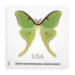 cheap square discount non machineable luna moth stamps 2028