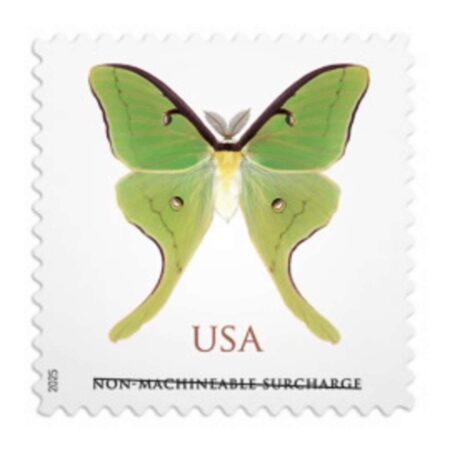 cheap square discount non machineable luna moth stamps 2028
