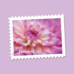 dahlias stamps USPS floral cheap in bulk