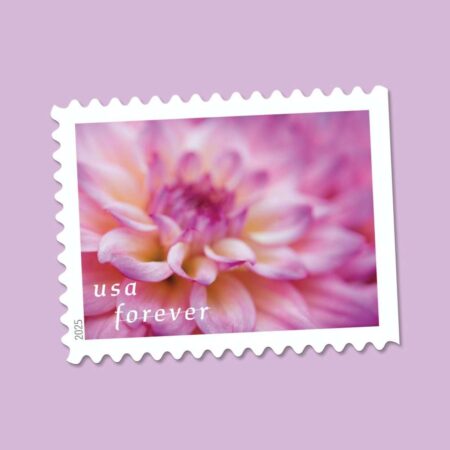 dahlias stamps USPS floral cheap in bulk