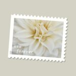 dahlias stamps USPS floral cheap in bulk