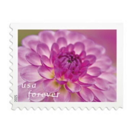 dahlias stamps USPS floral cheap in bulk