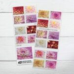 dahlias stamps USPS floral cheap in bulk
