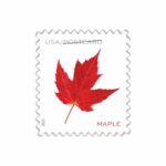discount postcard cheap vibrant leaves stamps 2027