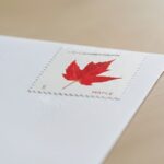 discount postcard cheap vibrant leaves stamps 2027