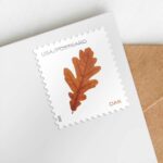 discount postcard cheap vibrant leaves stamps 2027